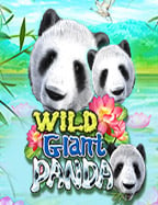 เกม ยิง ปลา คา สิ โน ได้ เงิน จริง วิธีเล่นที่คุณต้องรู้